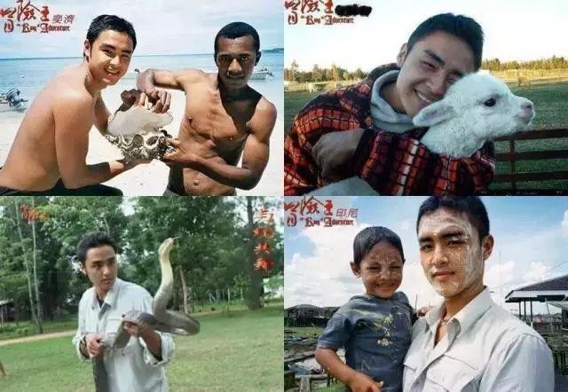 明道为什么突然这么火,明道为什么突然无戏可拍