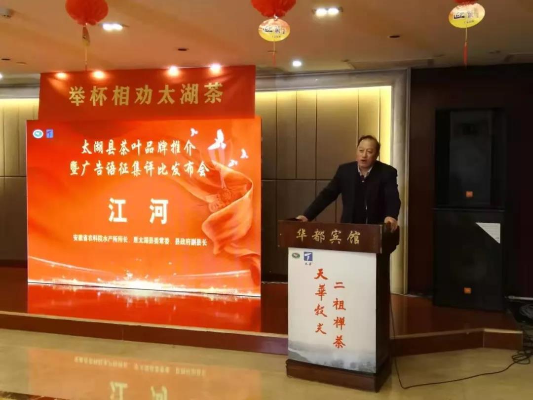 茶叶公共品牌宣传语征集,太湖茶叶广告语宣传语