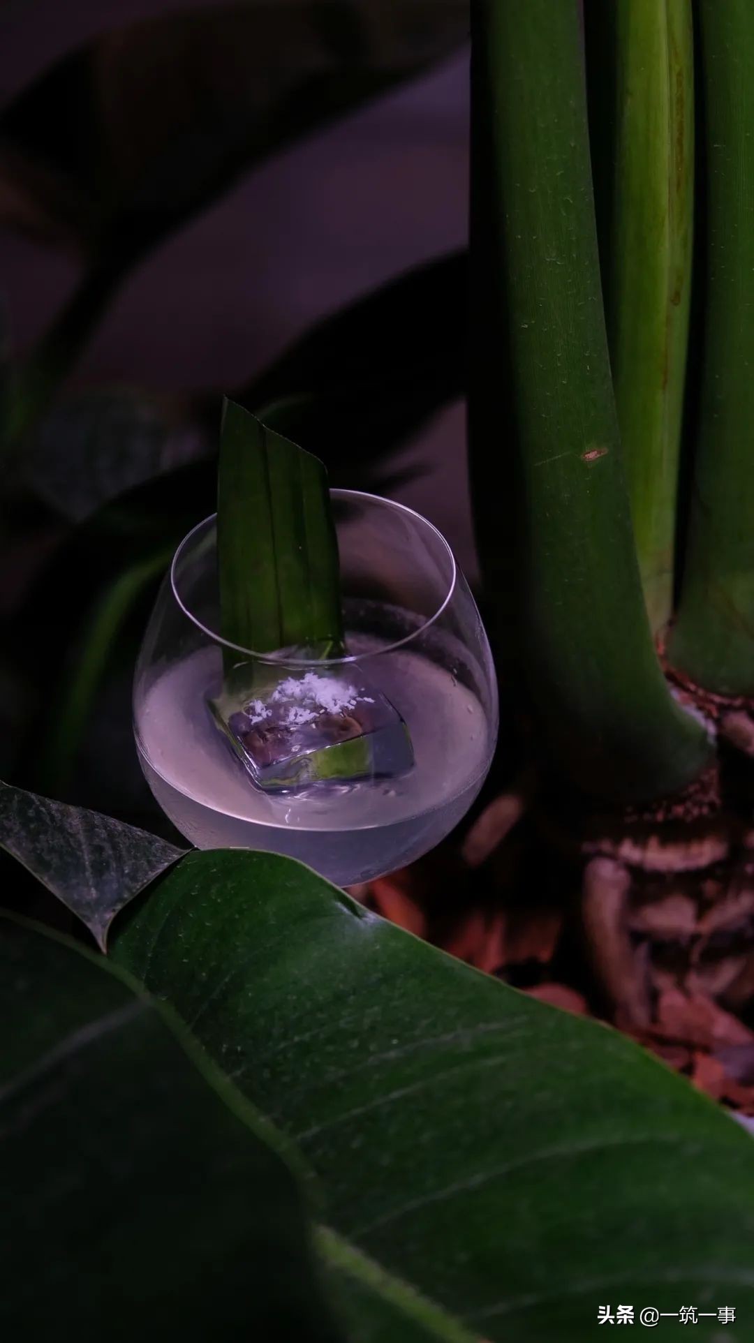 成都最火爆酒吧,2020年成都最火酒吧