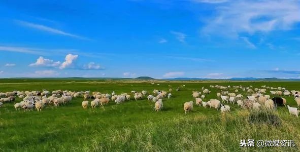 12月低价机票,10月白菜价机票西安出发