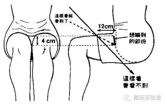 钱伟长的足球实力,钱伟长1.49米