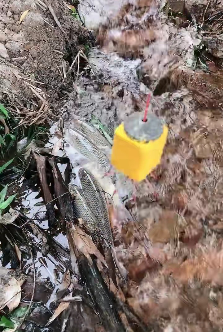 西江钓鱼用什么方块饵最好,现在的季节野钓饵怎么配