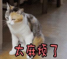 泰安携号转网哪个套餐流量最划算,联通携号转网到移动哪个套餐最好