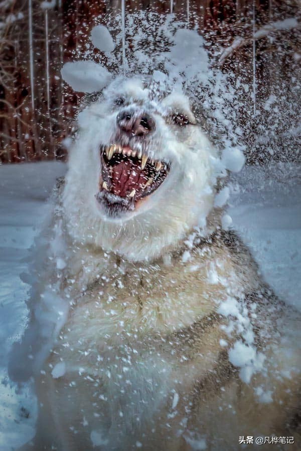 抓拍运动人物拍摄技巧,摄影技巧拍视频风景
