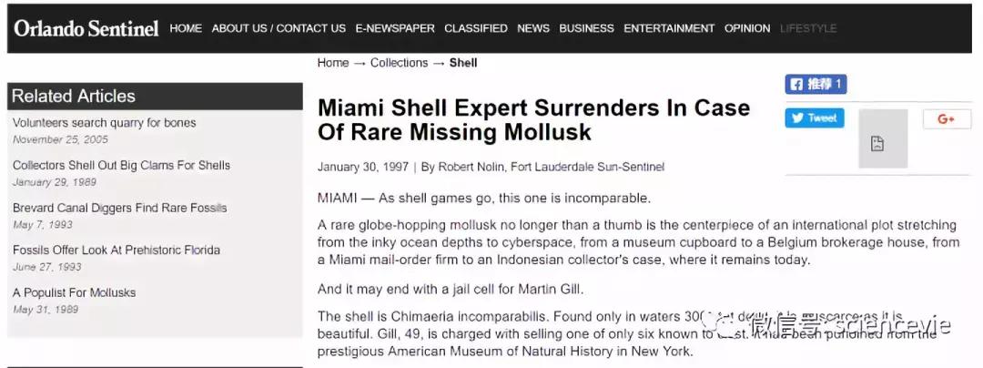 世界上最珍稀的50种贝壳,世界上最贵的贝壳排行榜