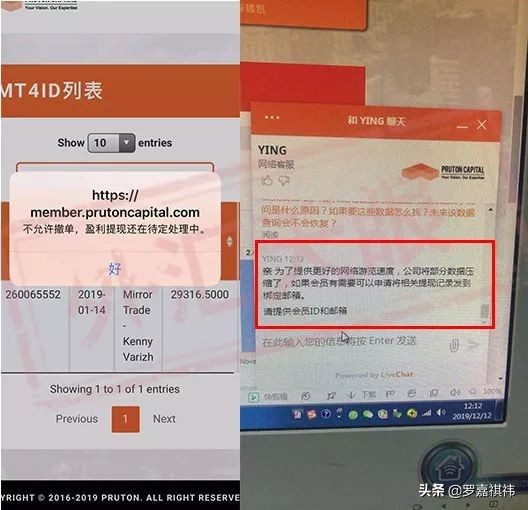 伪金融PT千亿巨骗东窗事发,百余万会员彻夜难眠,血流成河