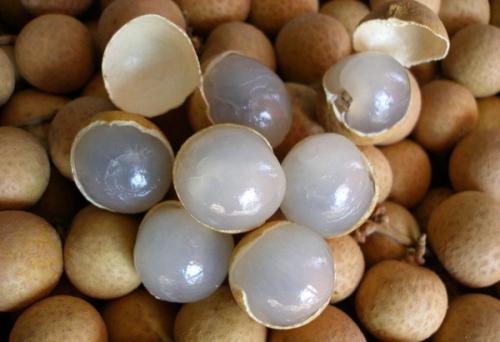 牙龈萎缩吃什么可以改善,牙龈萎缩吃什么食物好