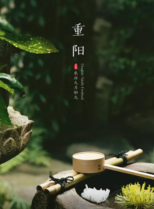 有关重阳节的诗句15篇,10首关于重阳节的诗词欣赏