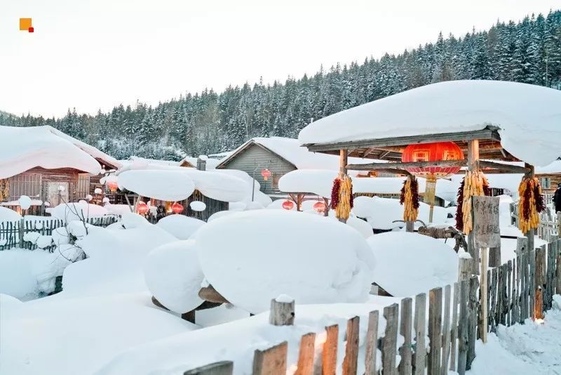 2016雪乡冰雪马拉松暨徒步穿越赛,2019长春全国冰雪徒步大会