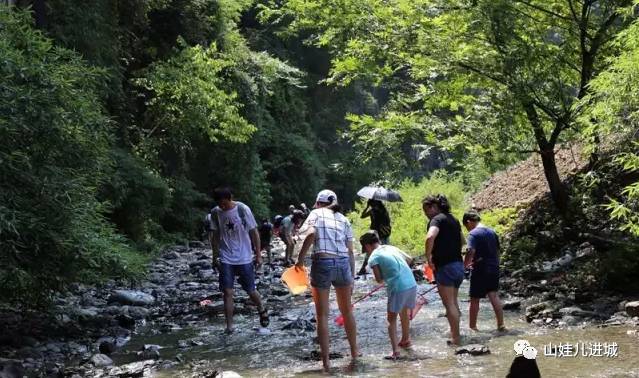 长阳山景美景图片,湖北长阳美景图