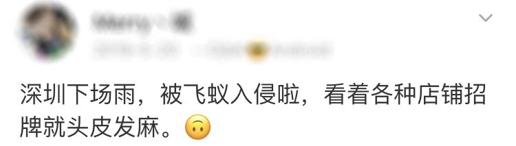 大水蚁进屋能活多久,大水蚁入侵房子