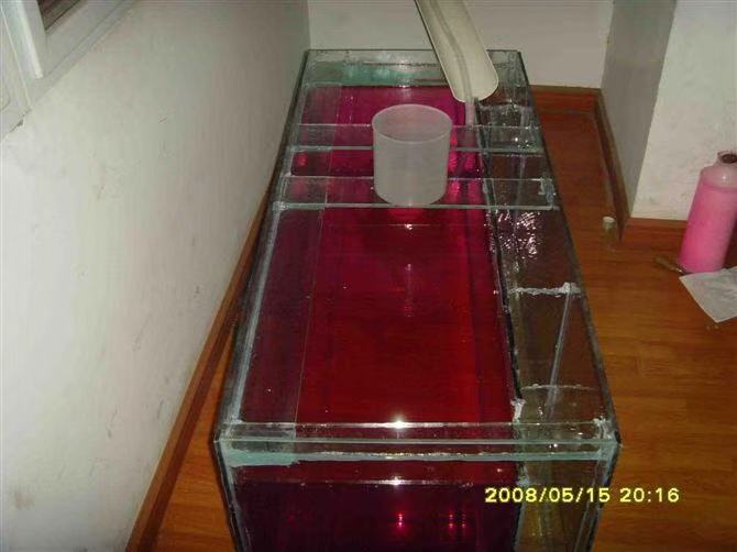 鱼缸养锦鲤鱼的方法和技巧,鱼缸新手养锦鲤鱼的正确方法