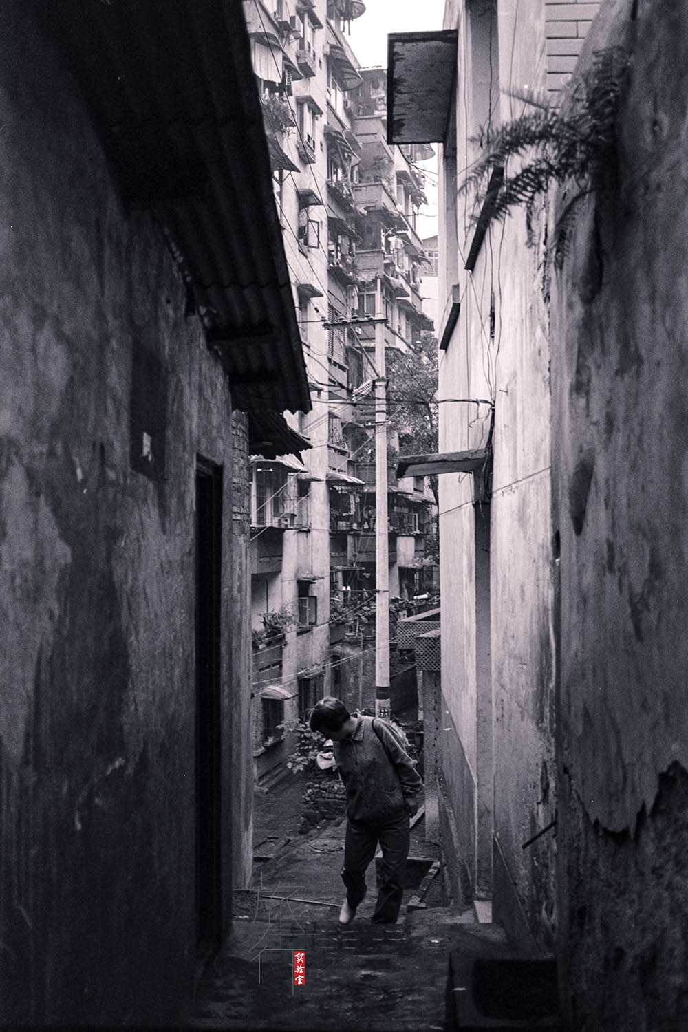 佳能全画幅变焦头哪个性价比高,标准变焦镜头推荐佳能