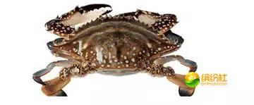 舟山海鲜攻略2天3晚吃什么,舟山海鲜代加工攻略