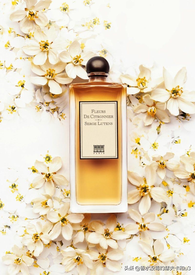 ysl薰衣草橙花麝香香水,7款热门白麝香香水推荐