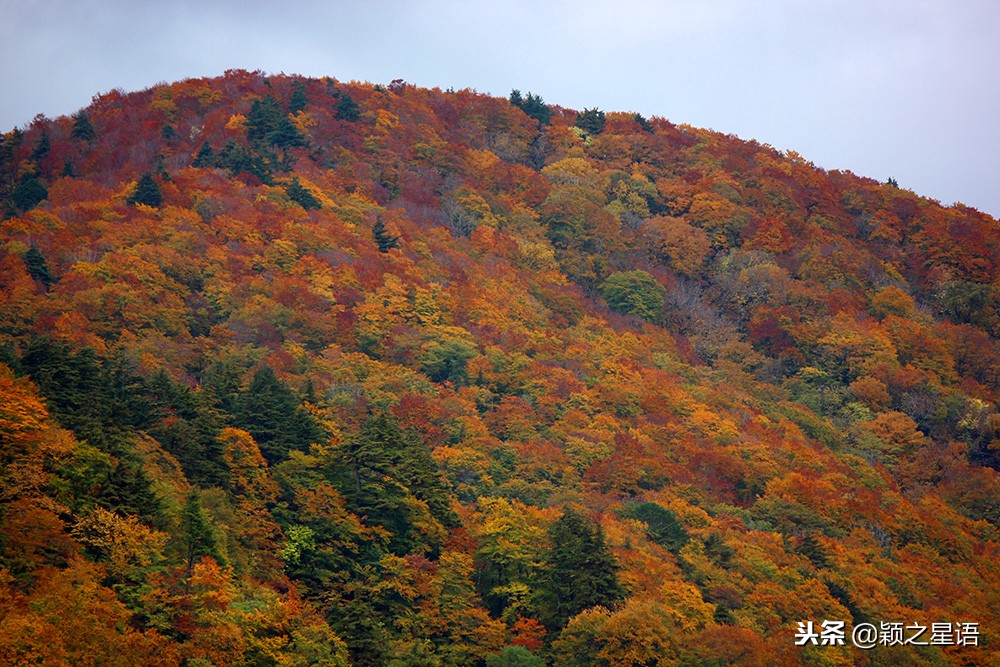 几千块的日本电饭煲,国产锅日本锅