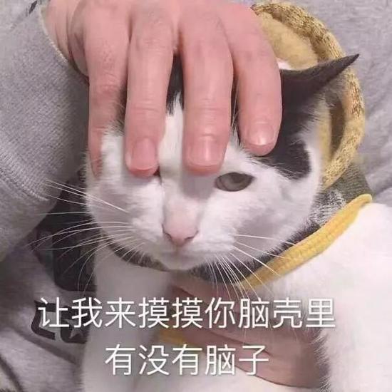 妆前乳和隔离的区别在哪里,隔离和妆前乳哪个会更好一些呢