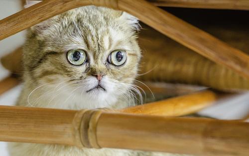 脚臭幽默笑话大全,关于脚气梅毒搞笑笑话