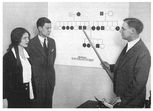 美国夺取印第安人土地的方式,美国对印第安人的灭族罪行