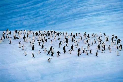 20个理由,十个理由告诉你为什么要独自旅行