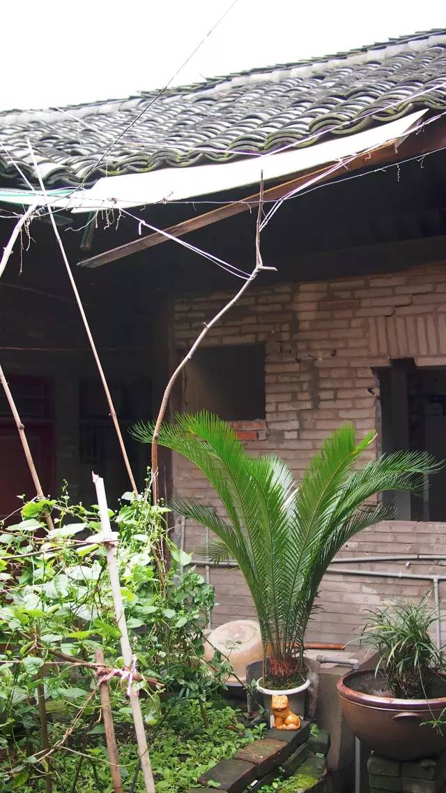 阆中花间堂阆苑特点,与其在城市蜗居不如在乡村建房