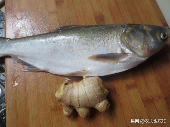 鲢鱼好吃吗刺多吗,鲢鱼口感