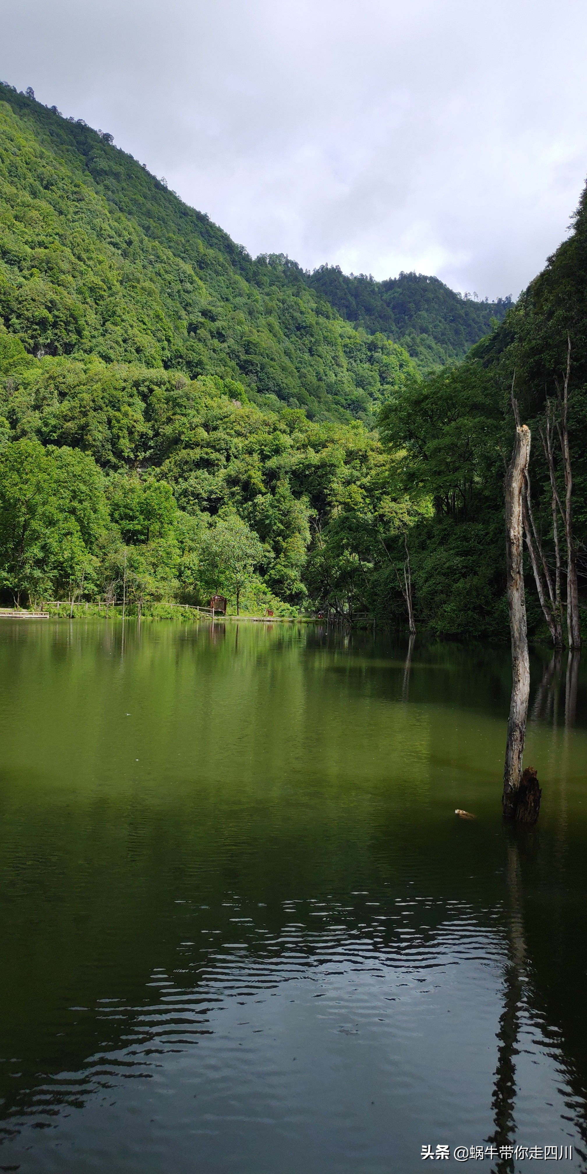 带小朋友出去看小动物,带小孩去海洋动物园