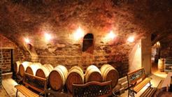 凉州词葡萄美酒夜光杯古诗讲解,王翰葡萄美酒夜光杯完整版视频