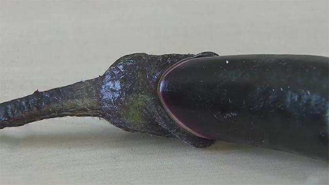 挑选茄子的方法看形状 (怎么挑茄子最准)