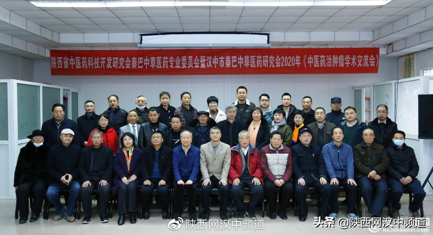 汉中市中医药产业发展研讨会,中医药研究促进会召开