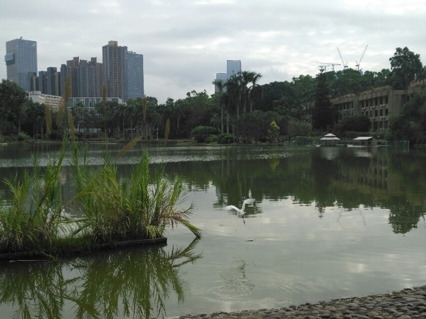 深圳大学是什么档次的大学？看实力如何颜值如何