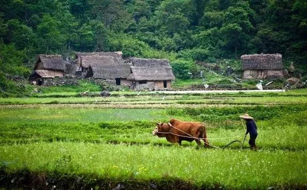 治胃病胃溃疡最佳偏方,十二指肠球部溃疡常于春季复发