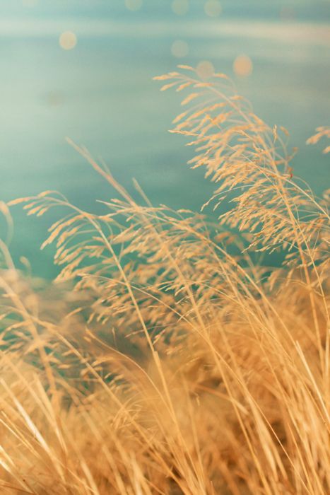 摄影师怎么拍出自己风格,摄影师怎么拍摄中国风