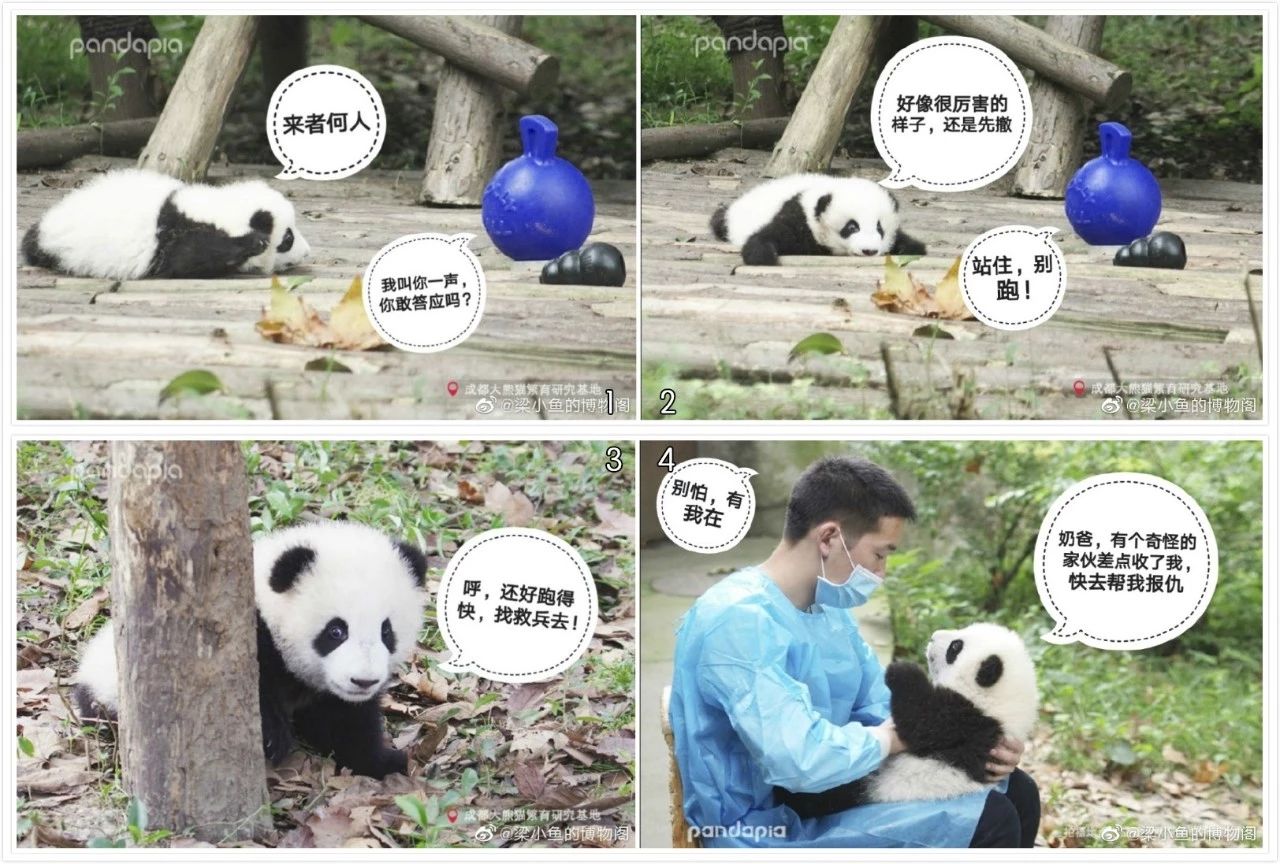 熊猫儿本人照片,熊猫儿图片