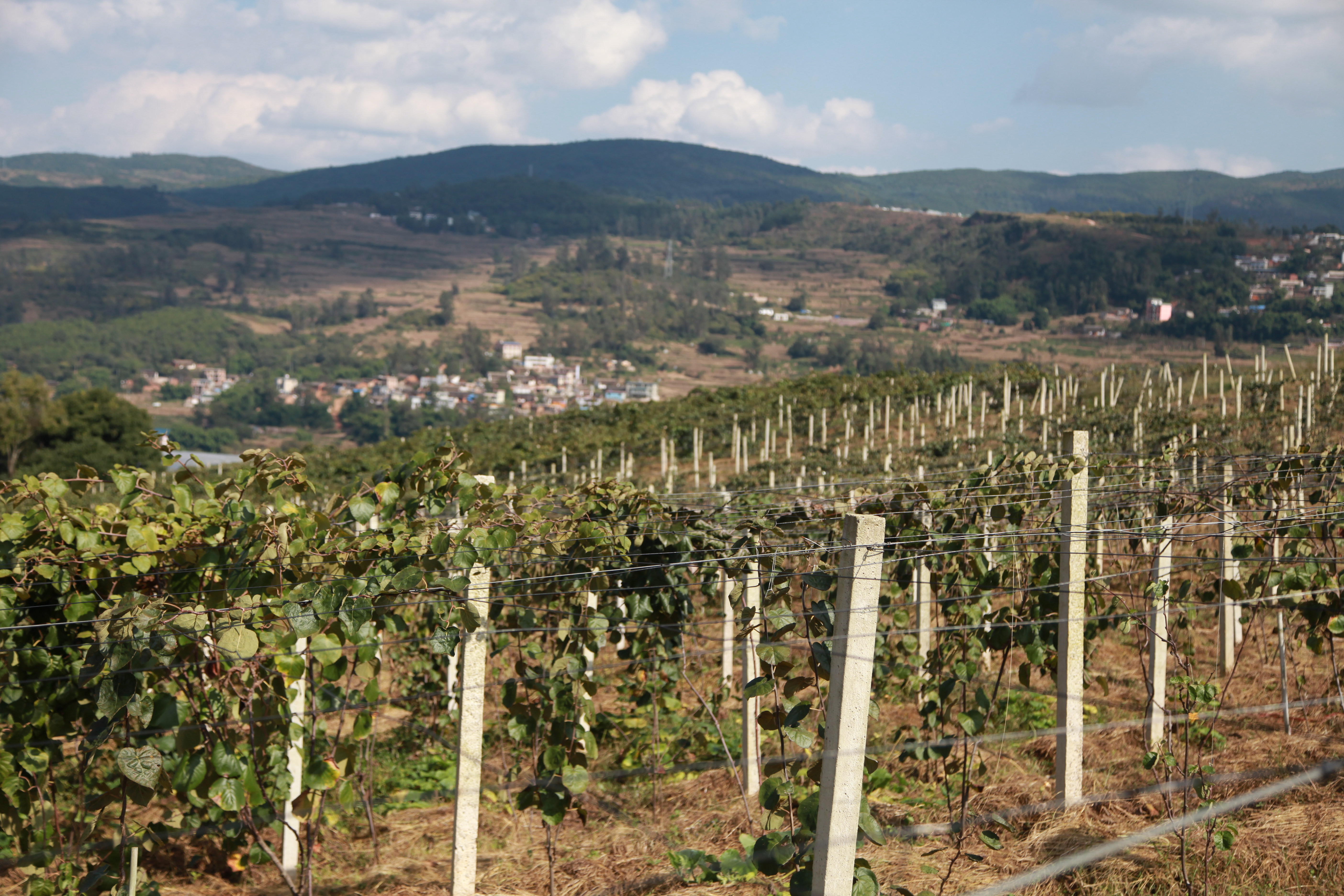 云南禄劝县是特困县吗,云南禄劝县有多少个村