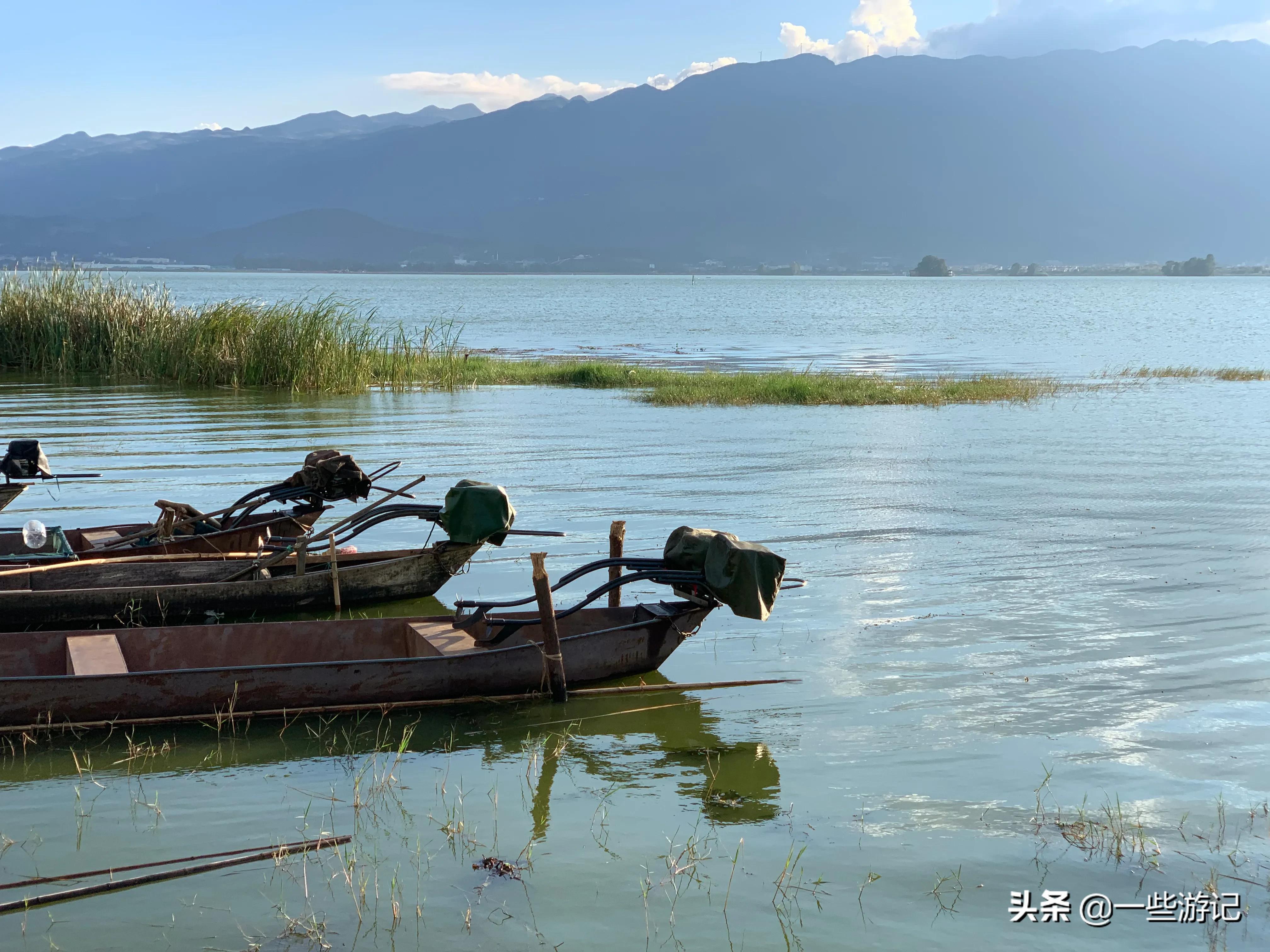蒙自尼苏小镇大屯海蓝花楹,蒙自大屯海尼苏小镇