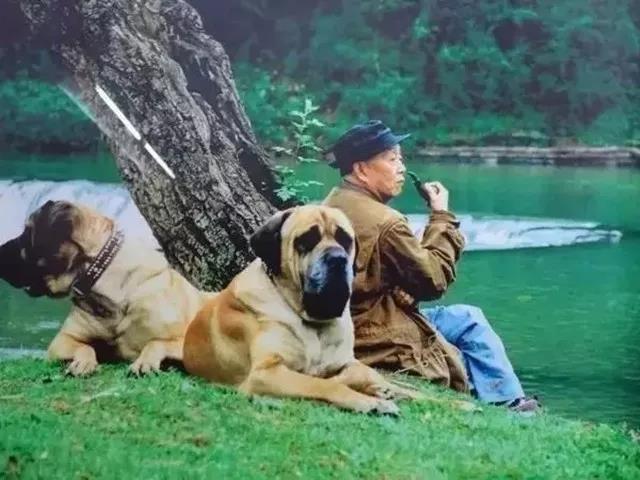 96岁“比我还老的老头”说，“这个世界太有趣，我还舍不得离开”