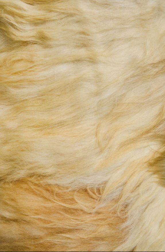 3s床垫是否值得买,3s床垫是什么