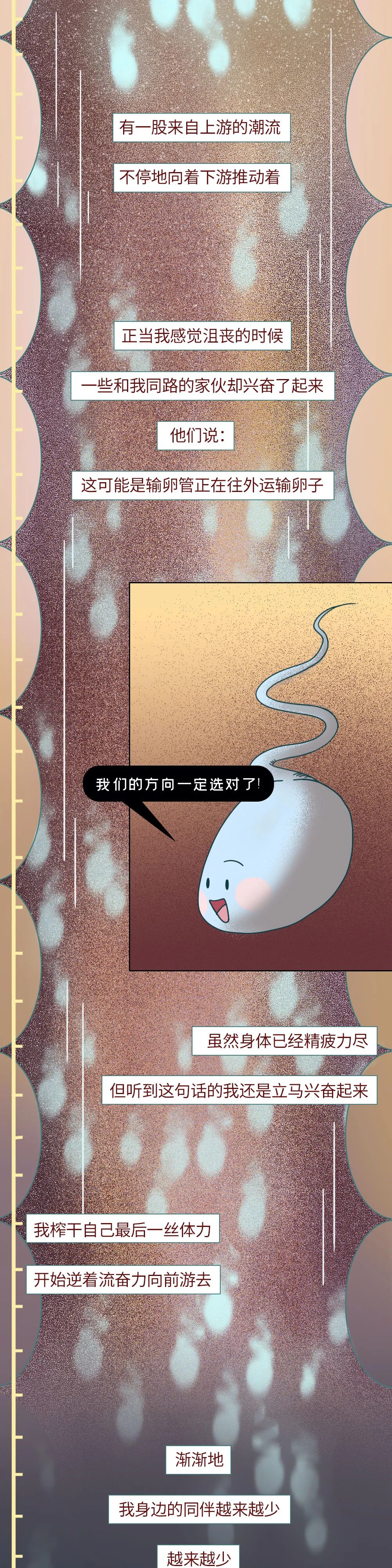 精子进入人体24小时变化,男性精子在体内存活时间