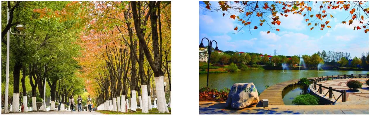 南京工业大学就业率最新排名,南京工业大学一年有几次校招