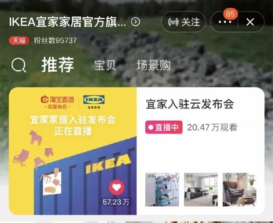 宜家开网店了吗,宜家的实体店现状