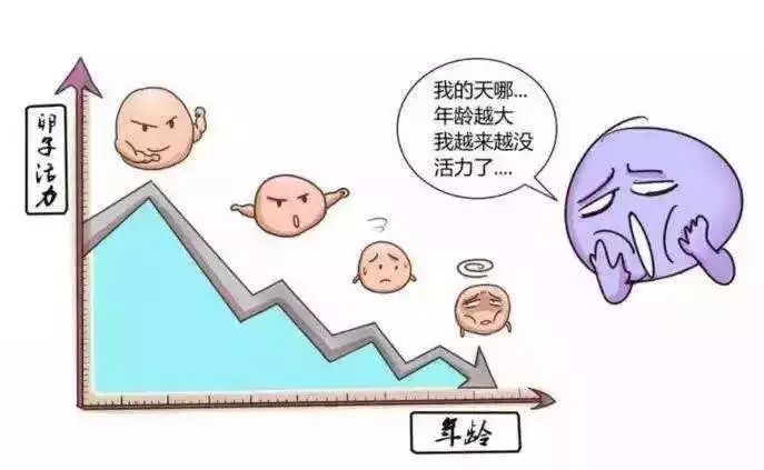 如何提高卵子质量和怀孕几率,想怀孕怎么保护卵巢