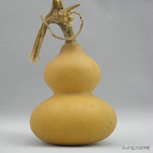 文玩葫芦的斑点如何处理,文玩葫芦晾晒多长时间才能上色