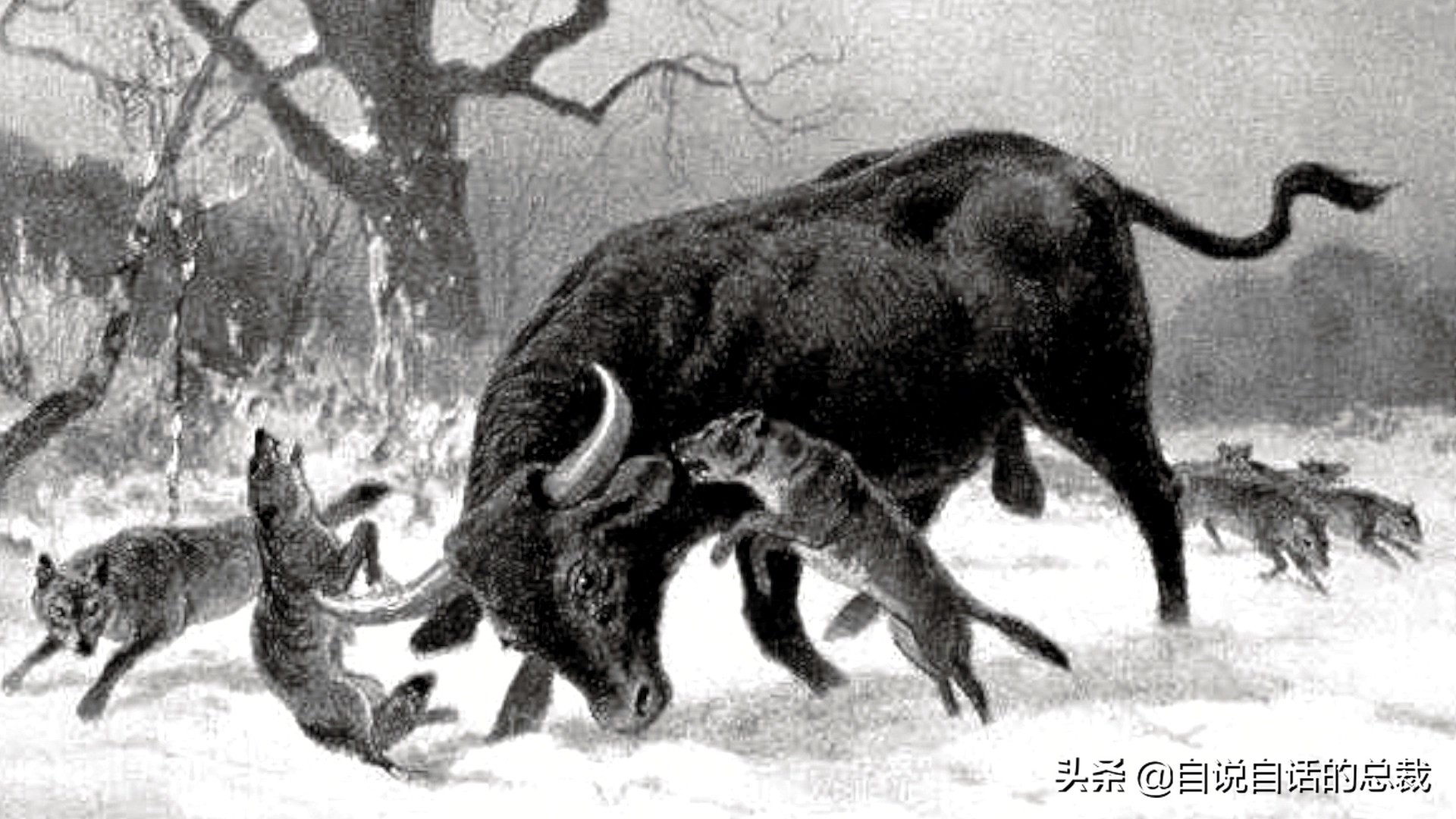 阿努纳奇创造人类7次文明,阿努纳奇人类起源