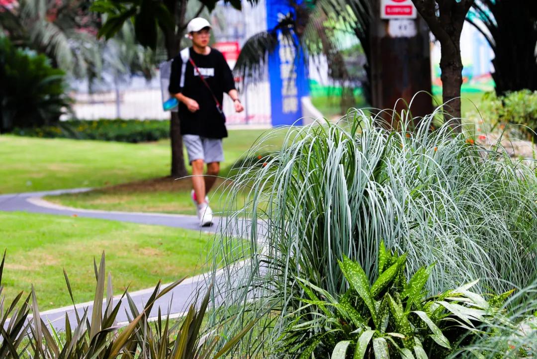 天府大道改造最新消息,为什么天府大道修到仁寿就变弯了