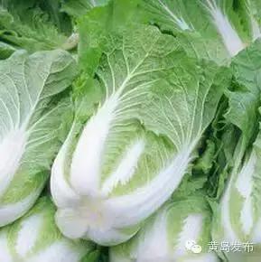 青岛西海岸30多项特产！这鱼还登上央视成了网红