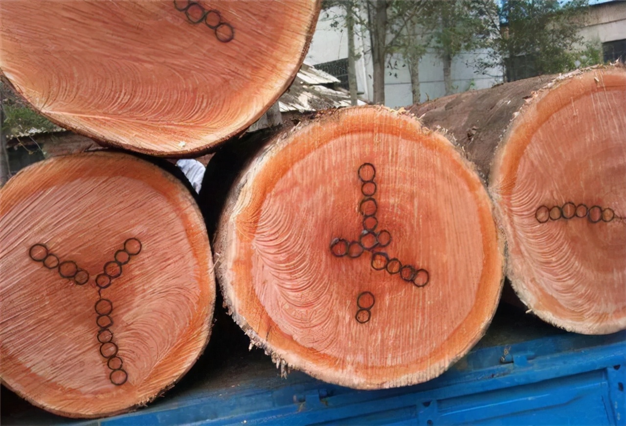 常见木材的种类档次,常见木材的种类简介及图片