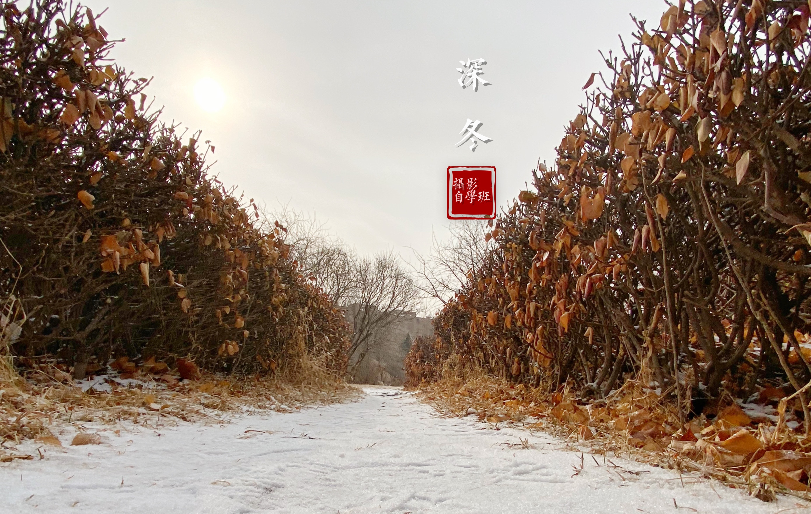 苹果手机拍照需要注意什么,一学就会的iphone手机摄影技巧