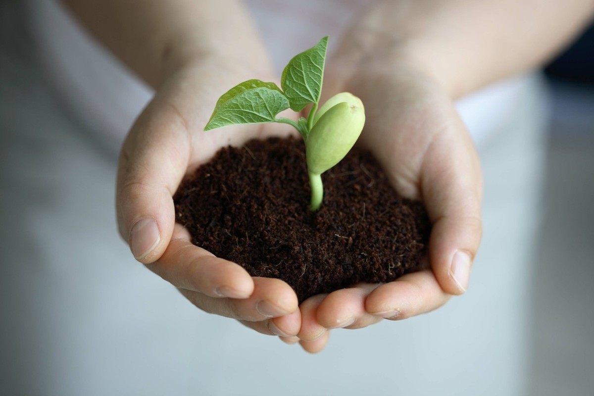 如何保护未成年人的法律知识,怎样才能保护未成年人的合法权益