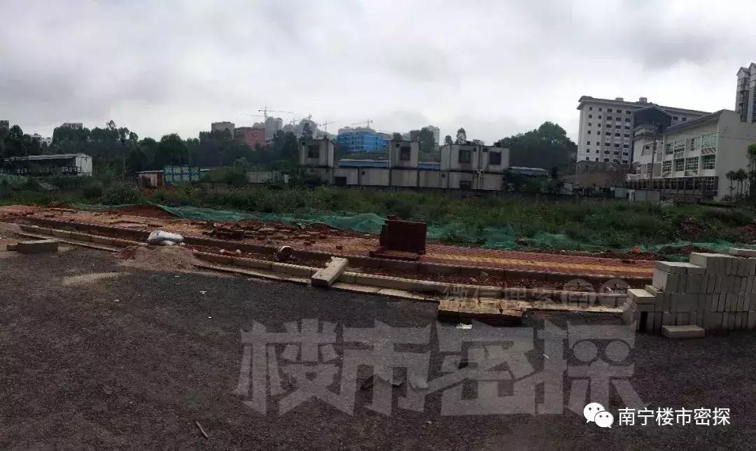 被业主期盼的5所大学,被业主期待的学校有哪些